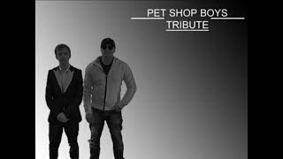 Pet Shop Boys Flamboyant Cover [upl. by Cirtap]