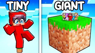 One GIANT Block vs One TINY Block in Minecraft [upl. by Ier]