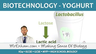 Food Production  Biotechnology  Yoghurt Production  GCSE Biology 91 [upl. by Richmound92]