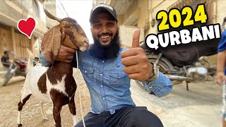 Alhumdulillah 2024 Qurbani 🐐 Eid ul adha 2024 Fahad Bhai Official [upl. by Lomaj]