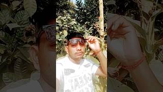 wavy karanaujla new song 2024 trending karanauj [upl. by Pollie270]