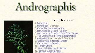 Common Name For Andrographis Paniculata [upl. by Mitman156]