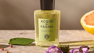 Acqua Di Parma Colonia Futura [upl. by Massey]