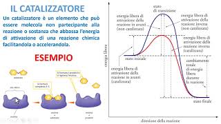 I CATALIZZATORI [upl. by Elnora912]