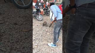 Monkey prank 🙊trending funny viralshort video explore explorepage shortsfeed foryou [upl. by Patrich]