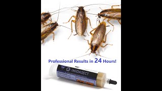 How to Get Rid of Roaches Fast with Imidasect Cockroach Gel  Professional Results in 24 Hours [upl. by Brubaker]