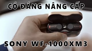 Hãy xem video này trước khi mua Sony WF1000XM3  Liệu có nên nâng cấp [upl. by Aecila874]