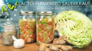 LACTO FERMENTED CABBAGE Raw Sauerkraut Beginner Friendly [upl. by Ilka538]