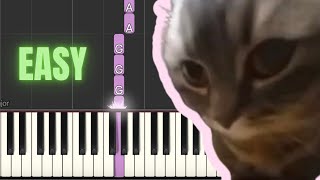 Chipi Chipi Chapa Chapa Cat Song  EASY PIANO TUTORIAL [upl. by Ahse]