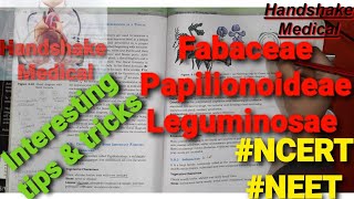 Fabaceae Papilionoideae Leguminosae Family of Angiosperms NCERT tips BOARD NTA NEET UG 2021 [upl. by Ries10]