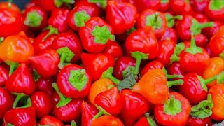 Heres The Truth About Pimentos [upl. by Lamp]