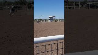 Savannah and Sugar Pole Bending 10524 horse rodeo polepony polehorse [upl. by Anilef]