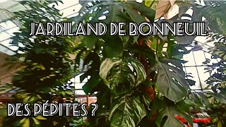 83 Visite Jardiland de Bonneuil  vaisje y trouver des pépites [upl. by Annoyed327]