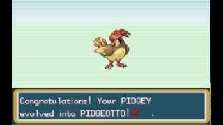 Pidgey evolves into Pidgeoto  Pokemon Fire Red [upl. by Ecnerewal971]