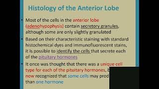 Lec 4 1 Hypothalamus amp Pituitary Gland [upl. by Adnic317]