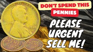 Most Expensive Penny in The World Rare Pennies Worth Money in Cirulation 2024 getrichquick [upl. by Heck]