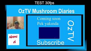 OzTV Live Streamtest [upl. by Frick]