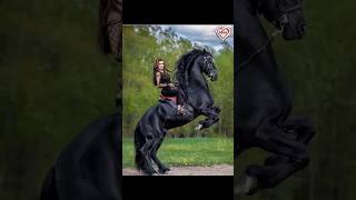 Beautiful horse and woman full action scene entertainment video youtubeshort viralshort views [upl. by Quickel437]