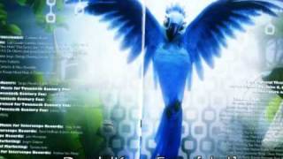 RIO 2011  SOUNDTRACK [upl. by Yssor]