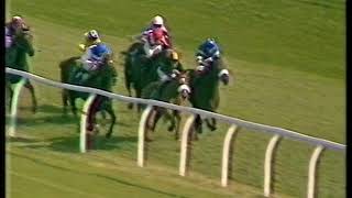 1986 Rokeby Farms Mill Reef Stakes [upl. by Flessel711]