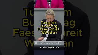 Faeser schreit Weidel im Bundestag an [upl. by Akemihs]