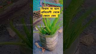 বিশ্বাস না হলে প্রতিবেশী থেকে জেনে নেন😌 trending monni shortvideo motivation shorts funny sho [upl. by Alue]