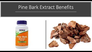 Pine Bark Benefits [upl. by Nomael]