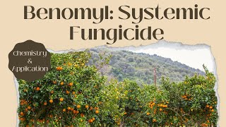 Understanding Benomyl A Comprehensive Overview of this Systemic Fungicide [upl. by Ahsieyn65]