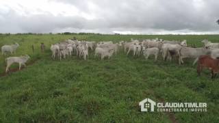 FAZENDA À VENDA EM RIO VERDE DE MATO GROSSOMS [upl. by Yennaiv]