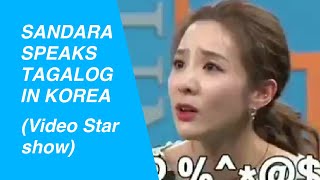 Sandara Park speaking Tagalog in Korea Video Star Talk Show [upl. by Oicaroh]