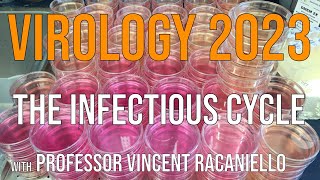 Virology Lectures 2023 2 The Infectious Cycle [upl. by Giacinta5]