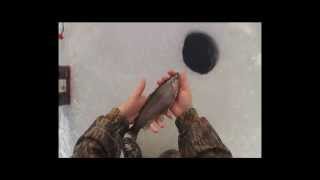 Ice Fishing for Rainbow Trout Gairloch Lake Pictou County [upl. by Aernda440]