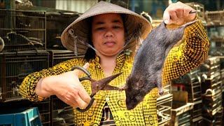 ALIMENTOS BIZARROS E ESTRANHOS QUE SÓ OS CHINESES TEM CORAGEM DE COMER [upl. by Rother680]