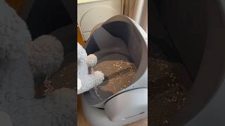 When raising a cat but not wanting to clean the litter box for it Smartcatlitterboxneakasa [upl. by Pegma]