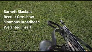 Barnett Blackcat Recruit Crossbow weighted insert with Simmons Broadhead [upl. by Ramsdell]