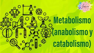 Metabolismo anabolismo y catabolismo [upl. by Nyrrat]