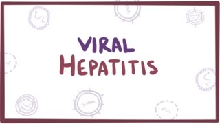 Viral hepatitis A B C D E  causes symptoms diagnosis treatment amp pathology [upl. by Cutter]