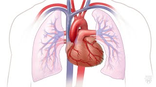 Mayo Clinic Minute Managing atrial fibrillation [upl. by Relyhs]