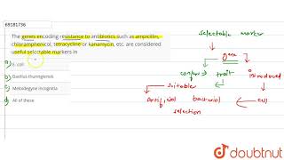 The genes encoding resistance to antibiotics such as ampicillin chloramphenicol [upl. by Uyekawa385]