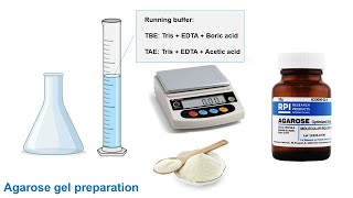 DNA Gel Electrophoresis [upl. by Sklar4]