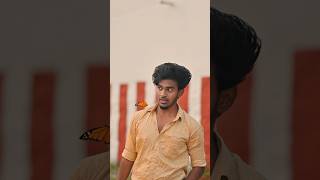 Watch end butterflies 💛✨  akashgowra tamilsong tamilwhatsappstatus tamilshorts [upl. by Alda]