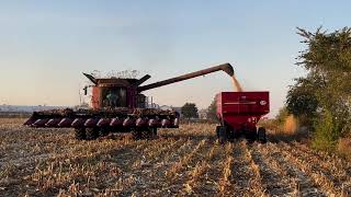 Corn harvest is underway way 300 acres to go [upl. by Jorey]