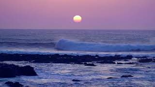 1 hora de sonido de olas del mar para dormir profundamente [upl. by Anovad]