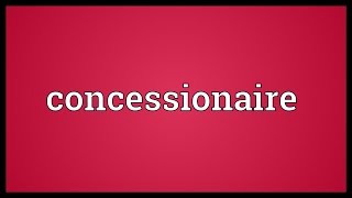 Concessionaire Meaning [upl. by Anipsed]