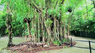 Miami  Vizcaya Museum amp Gardens [upl. by Tterag719]