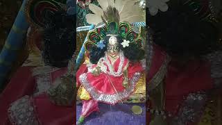 Kanha ji✨🙏♥🌺WhatsAppstatusvideo vairalshort youtubevideos status laddugopAlradhakrishnastatus [upl. by Etnaik]