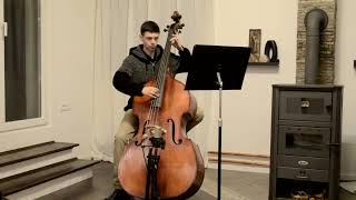 A F Vavra master double bass for sale  pizz demo on two types of strings [upl. by Boykins]