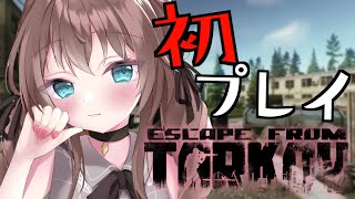 【タルコフ】ゴリラとゴミ拾い1日目Escape from Tarkov【ホロライブ夏色まつり】 [upl. by Reedy]