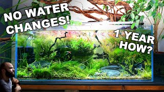 Youve Been LIED To About Water Changes New Series quotTrue Or Falsequot [upl. by Nylacaj]