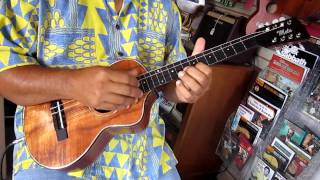 Mele Ukulele Baritone8 String Ukulele with Fishman Prefix Pro [upl. by Gmur]